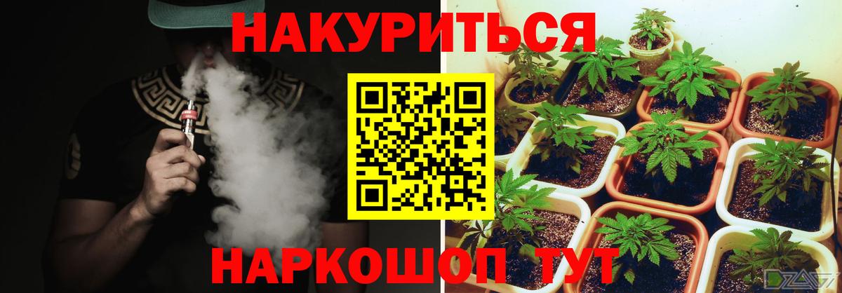 Бошки марихуана Amnesia Абакан